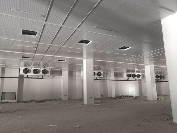 存200噸貨需要多大面積冷庫？造價多少？